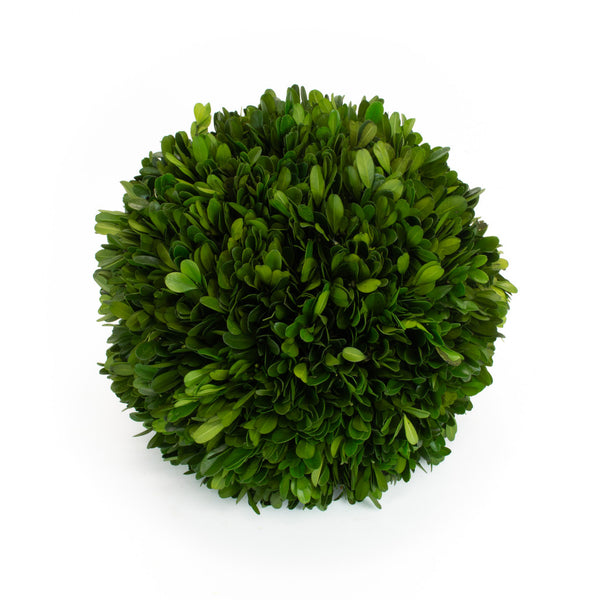 Mills Floral Boxwood Balls (Two Size Options)