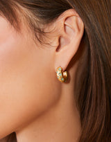 Chubby Hoop Earrings in Sea Foam Gold