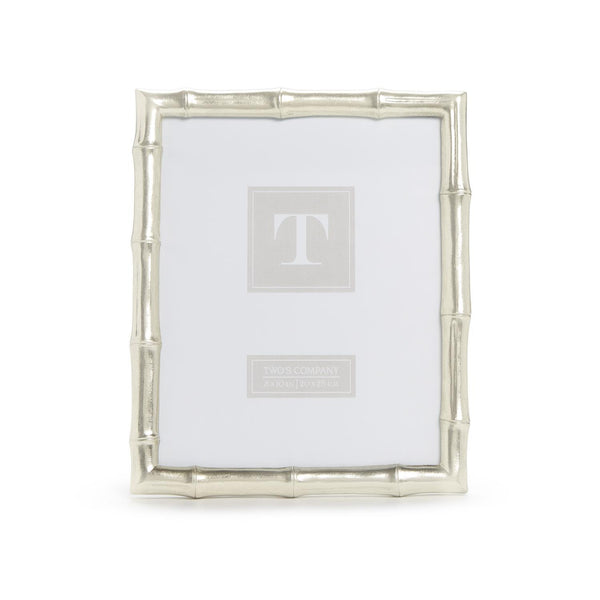 Silver Faux 8x10 Bamboo Frame