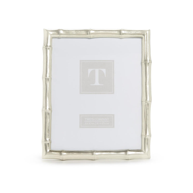 Silver Faux 8x10 Bamboo Frame