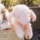 Big Hammie The Pig - Bunnies By The Bay
