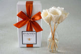 B's Knees Classic Reed Diffuser