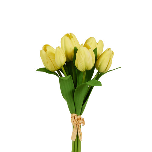 12" Tulip Bundle (Four Color Options)