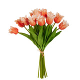 Real Touch Parrot Tulip Bundle