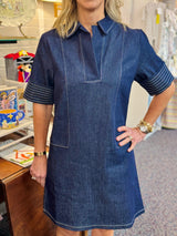 Denim Collared V Neck Dress