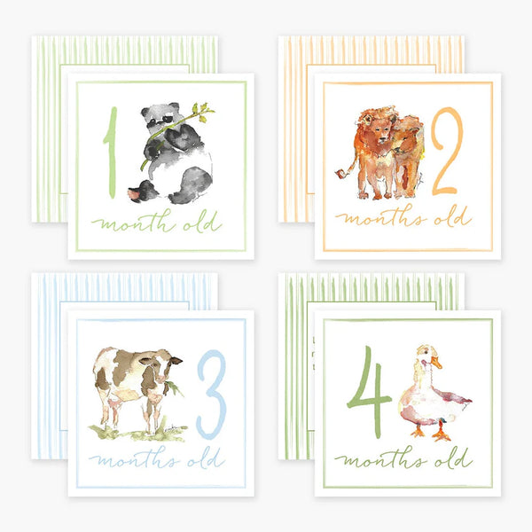 Anne Neilson Milestone Cards