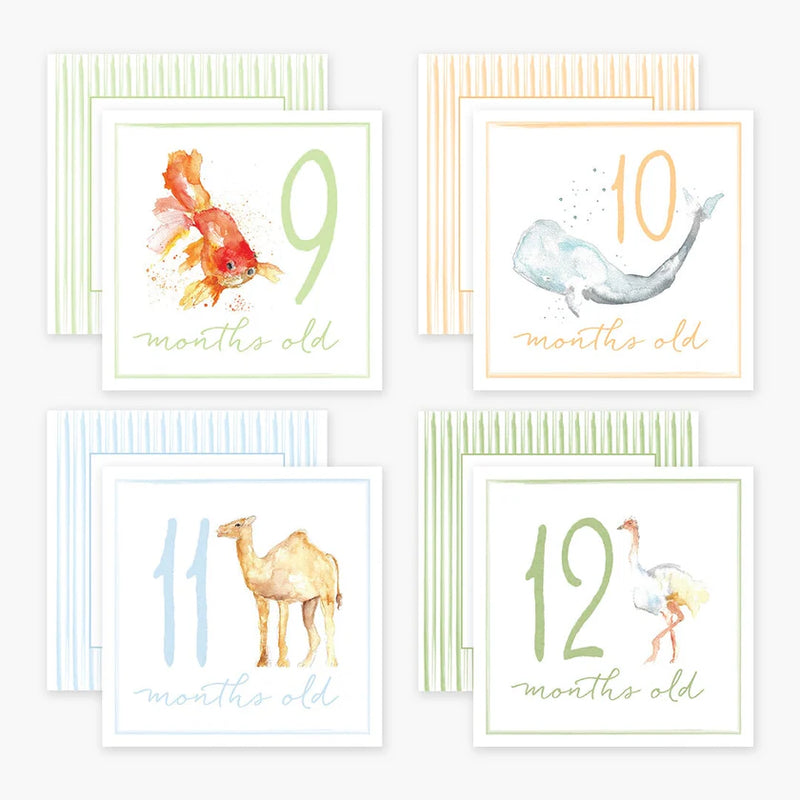 Anne Neilson Milestone Cards