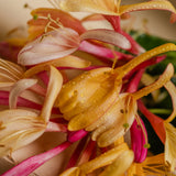 Pura Honeysuckle Smart Vial Fragrance Refill