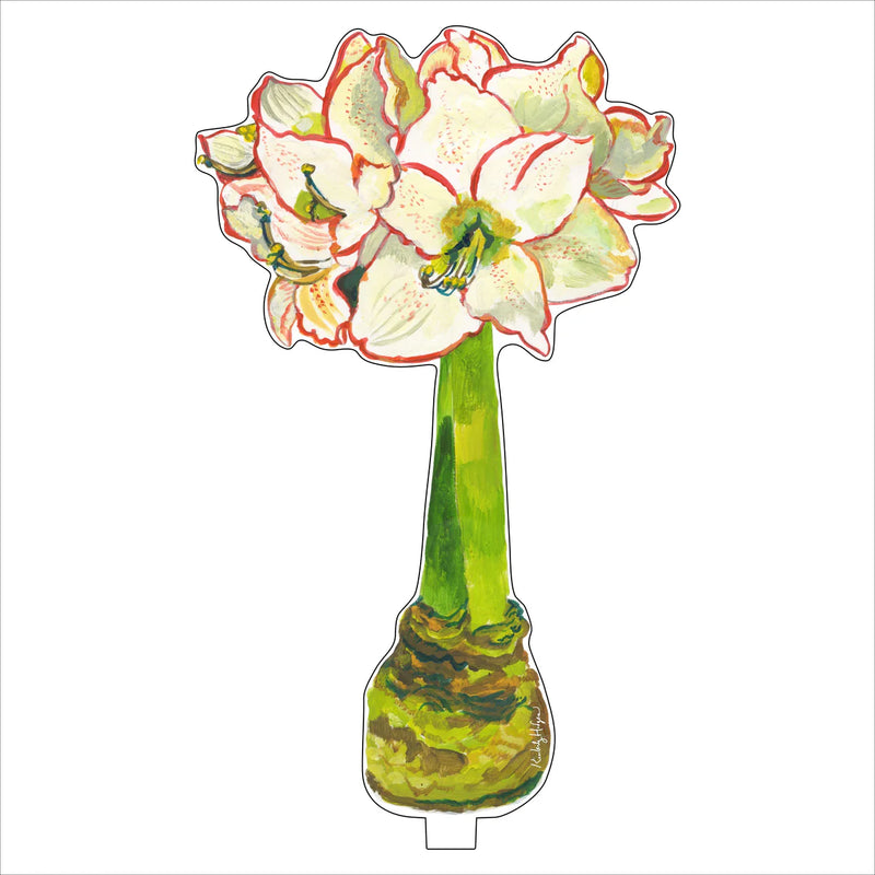 Acrylic White Amaryllis Acrylic Floral (Two Size Options)
