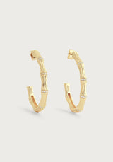 Bamboo Single Hoop Earrings in Gold - Anabel Aram