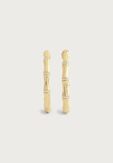 Bamboo Single Hoop Earrings in Gold - Anabel Aram