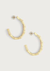 Bamboo Single Hoop Earrings in Gold - Anabel Aram