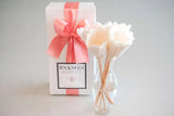 B's Knees Classic Natural Reed Diffuser (Multiple Scent Options)