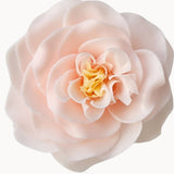 Petite Soap Petal Flower and Pedestal (multiple fragrance options)