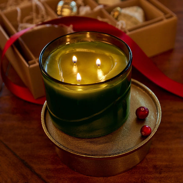 Thymes Frasier Fir 3 Wick Candle