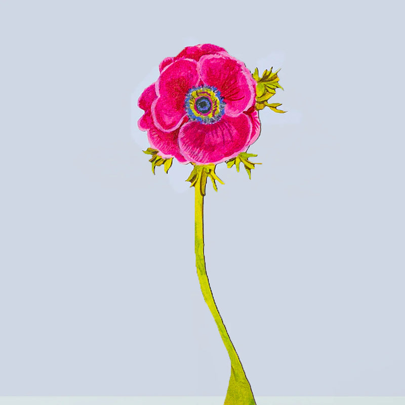 Magenta Anemone Large Acrylic Flower