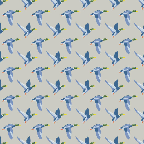 Lila + Hayes Thompson Boy Pima Cotton Romper in Mallard Ducks