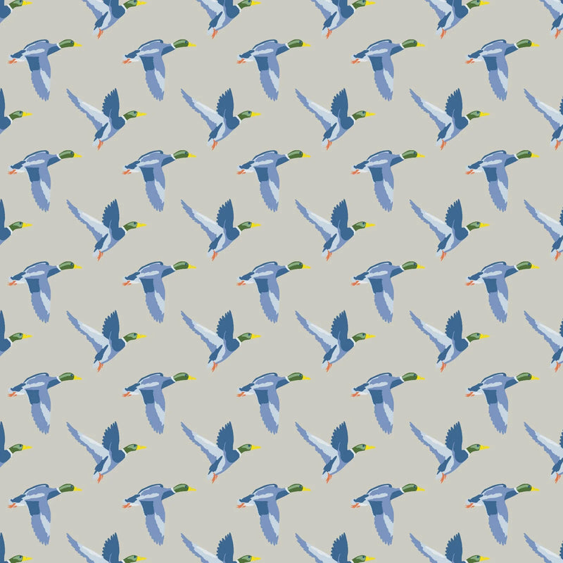 Lila + Hayes Thompson Boy Pima Cotton Romper in Mallard Ducks