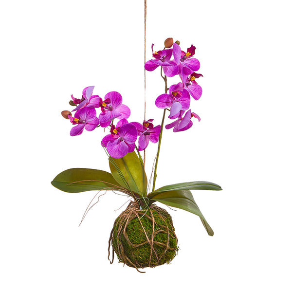 15" REAL TOUCH PURPLE ORCHID WITH MOSS BALL